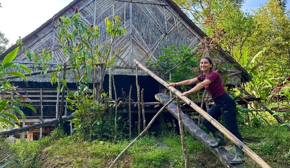 Adventure in the Rainforest