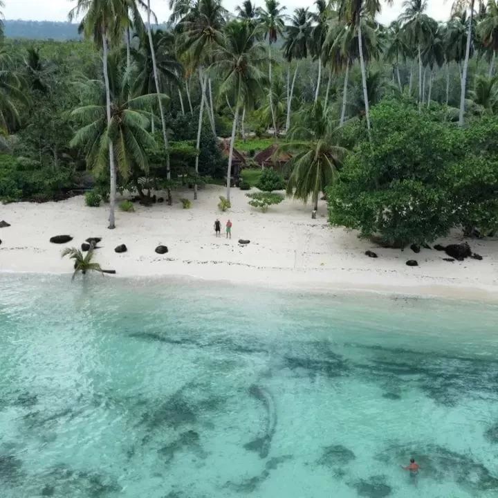 Tour Package 8D / 7N